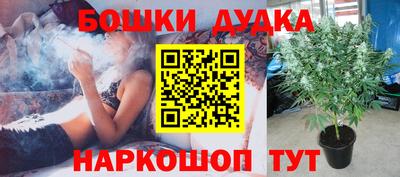 молекула духа Братск