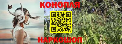 метадон Брянск