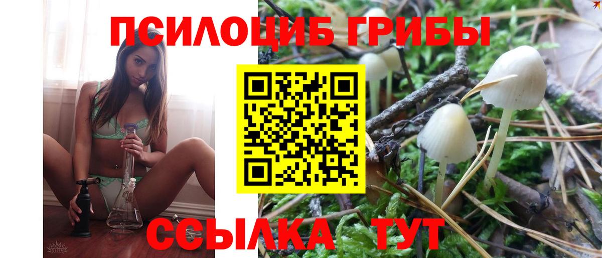 Большой Камень  наркотики  Вход с VPN  Галлюциногенные грибы мухоморы 