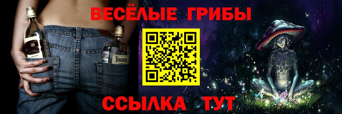 Галлюциногенные грибы Cubensis Большой Камень